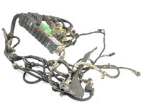 Instalatie Electrica Motor Renault Premium 1996 - 2013 Motorina 20574373, 20742787