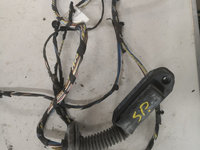 Instalatie electrica usa stanga spate BMW X3 (E83N) [ 2003 - 2011 ] xDrive 20 d (N47 D20 C) 120KW|163HP OEM 10055910