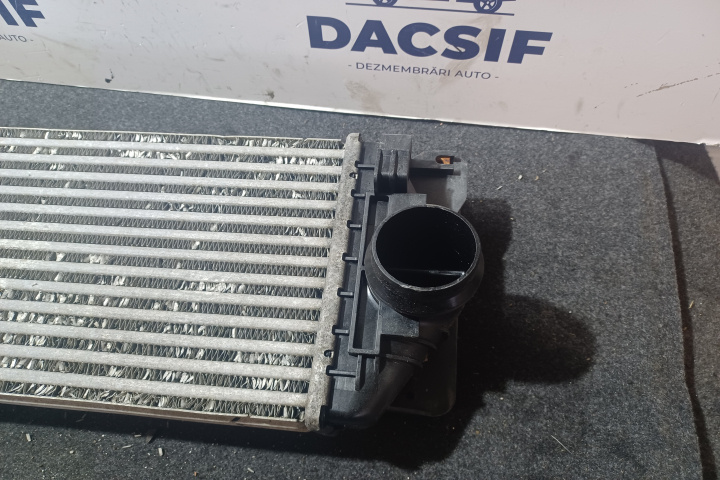 Intercooler 2.2 CDI A9065010201 2E014580