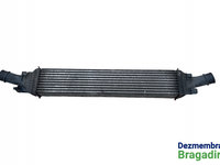 Intercooler 8K0145805G Audi A4 B8/8K [2007 - 2011] wagon 5-usi 2.0 TDI MT (120 hp)