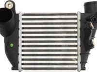 Intercooler AUDI A3, SEAT LEON, TOLEDO II, SKODA OCTAVIA I, VW BORA, BORA I, GOLF IV 1.9 08.00-06.06