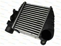 Intercooler AUDI TT Roadster 8N9 THERMOTEC DAW001TT