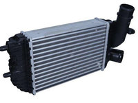 Intercooler Citroen Jumper I Bus (230) ( 02.1994 - 04.2002) OE 1307012080