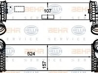 Intercooler compresor BMW X5 (E70) - OEM - NRF: NRF30359|30359 - Cod intern: W02234560 - LIVRARE DIN STOC in 24 ore!!!