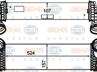 Intercooler compresor BMW X6 (E71, E72) - Cod intern: W20089444 - LIVRARE DIN STOC in 24 ore!!!