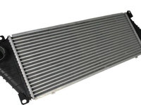 Intercooler compresor MERCEDES-BENZ SPRINTER 3-t nadwozie pe³ne 903 Producator THERMOTEC DAM001TT