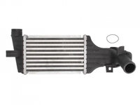 Intercooler, compresor Opel ASTRA G hatchback (F48_, F08_) 1998-2009 #4 07073001