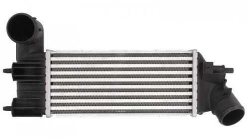 Intercooler, compresor Peugeot 406 (8B) 1995-