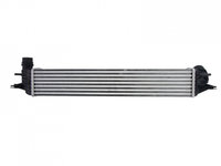 Intercooler, compresor Renault LAGUNA cupe (DT0/1) 2008-2016 #4 144960001R