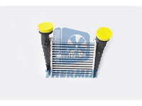 Intercooler, compresor VW PASSAT (3B3) (2000 - 2005) THERMIX TH.03.013 piesa NOUA