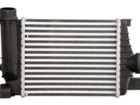 Intercooler DACIA DUSTER, DUSTER/SUV, NISSAN MICRA V, RENAULT CAPTUR I, CLIO IV 1.2/1.5D 11.12-