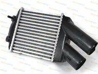 Intercooler DACIA LOGAN LS THERMOTEC DAR001TT