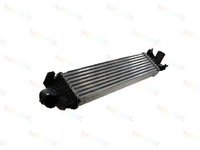 Intercooler FORD FOCUS C-MAX THERMOTEC DAG002TT