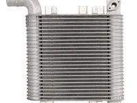 Intercooler HYUNDAI SANTA FE II, SANTA FE II/SUV 2.2D 03.06-05.13