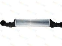 Intercooler MERCEDES-BENZ E-CLASS combi S210 THERMOTEC DAM002TT