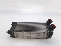 Intercooler Peugeot 3008 1.6 HDI Diesel 2010