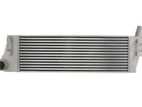 INTERCOOLER RENAULT MEGANE II (BM0/1_, CM0/1_) 1.9 dCi (BM0G, CM0G) 2.0 Renault Sport 1.5 dCi (BM02, BM13, BM2A, CM02, CM13) 1.5 dCi (BM0F, BM0T, BM2B, CM0F, CM0T) 1.5 dCi (BM1F, CM1F) 1.9 dCi 2.0 16V Turbo 1.5 dCi (BM16, CM16) 1.5 dCi (BM1E, CM1E) 2