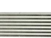 Intercooler RENAULT MEGANE III Hatchback (BZ0/1_, B3_) THERMOTEC DAR013TT