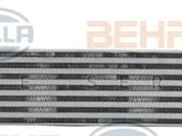 Intercooler RENAULT MEGANE III hatchback BZ0 HELLA 8ML 376 760-761