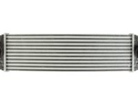 Intercooler RVI MASCOTT, RENAULT MASTER PRO 8140.43.B.3586-S9W208 01.99-04.10