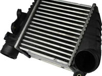 Intercooler SEAT LEON (1M1) THERMOTEC DAW001TT