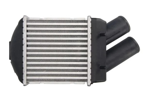 Intercooler Thermotec RENAULT MEGANE Sc