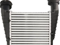 Intercooler VW PASSAT B5.5 (3B3) THERMOTEC DAW003TT