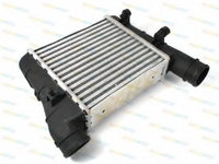 Intercooler VW PASSAT Variant (3B5) (1997 - 2001) THERMOTEC DAA001TT