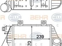 Intercooler VW TRANSPORTER IV caroserie 70XA HELLA 8ML 376 776-591