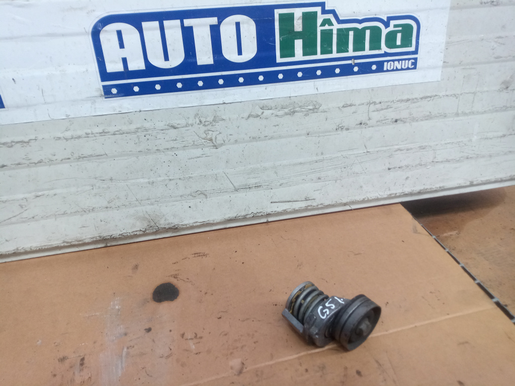 Intinzator curea accesorii motor fara cod 1.6FSI Volkswagen Golf 5 1K 2003-2010 1.6FSI