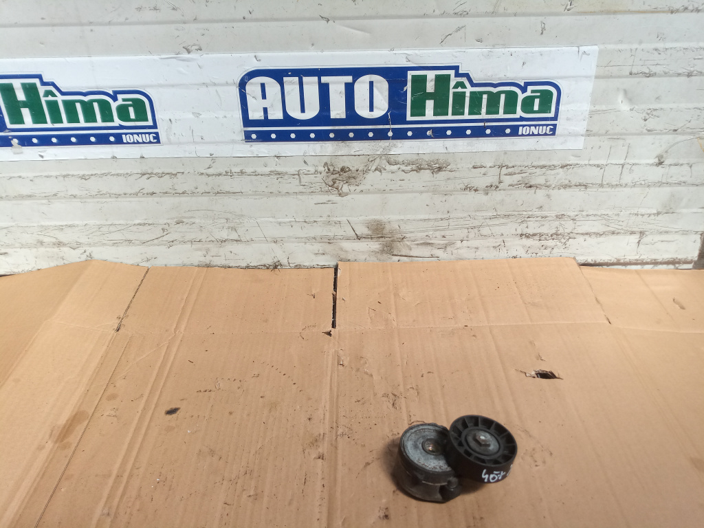 Intinzator curea accesorii motor fara cod 2.0 hdi