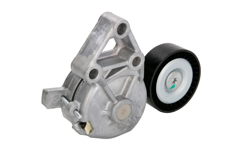 Intinzator curea accesorii VW NEW BEETLE (9C1, 1C1) BTA E3W0024BTA