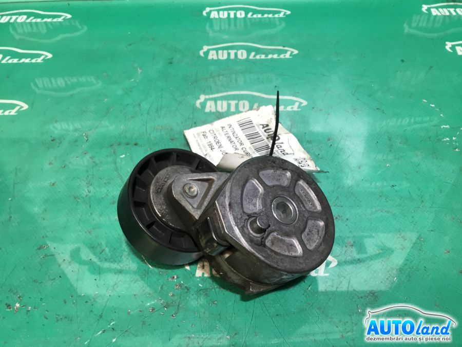 Intinzator Curea Alternator 0991407dayco