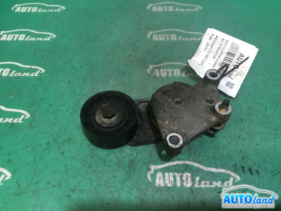 Intinzator Curea Alternator 1.6 HDI, 109 CP Peugeo