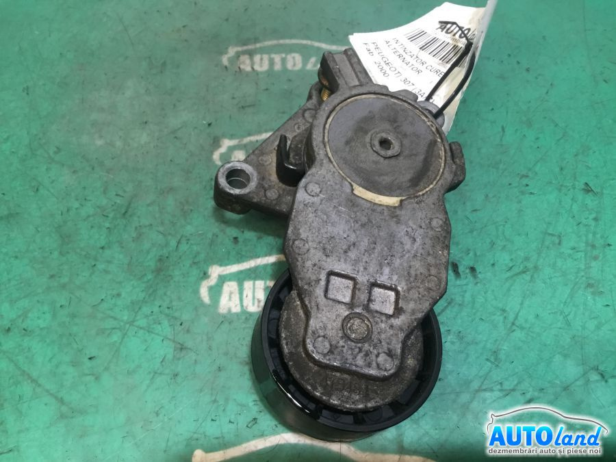 Intinzator Curea Alternator 1.6 HDI, 109