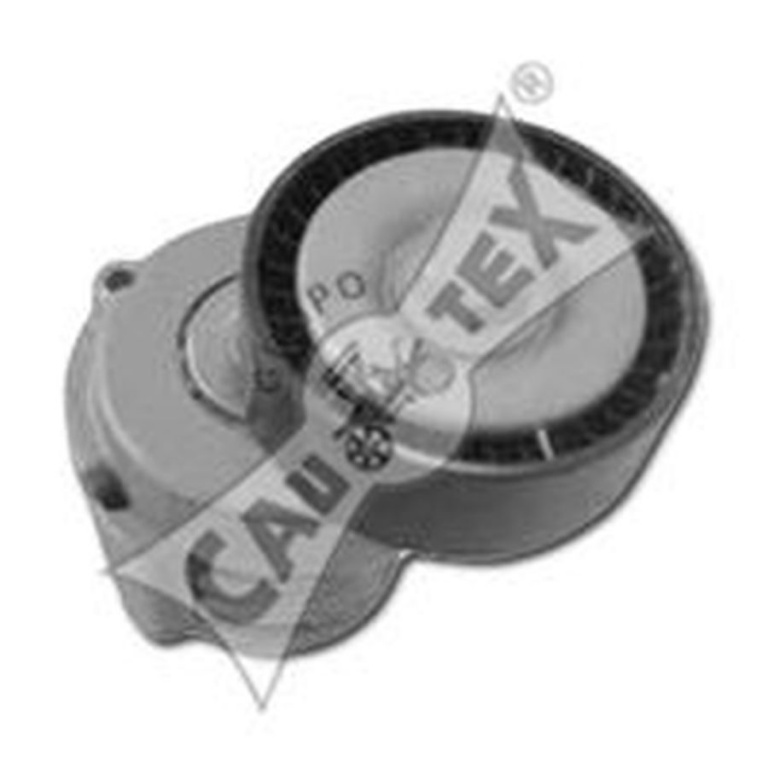 Intinzator curea AUDI A4 Cabriolet 8H7 B6 8HE B7 CAUTEX 461357
