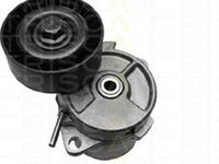 Intinzator curea BMW 3 cupe E46 TRISCAN 8641113003