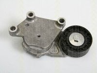 Intinzator curea CITROEN C3 II TRISCAN 8641103014