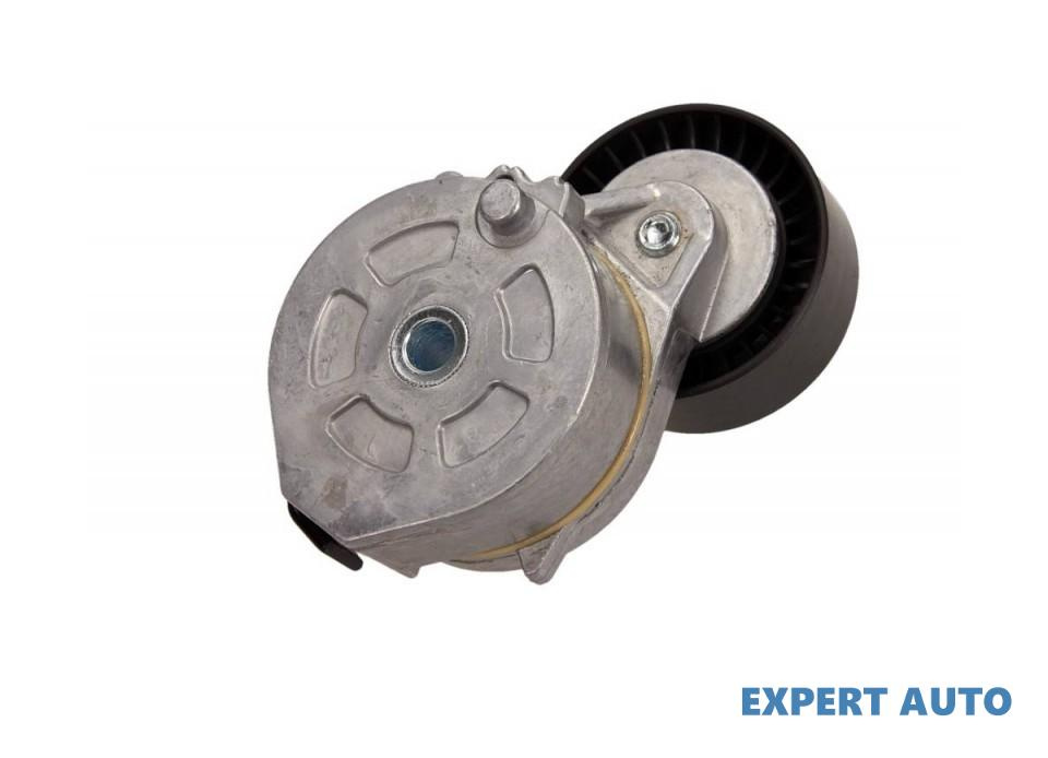 Intinzator curea Citroen C5 II Break (RE_) 2004-20