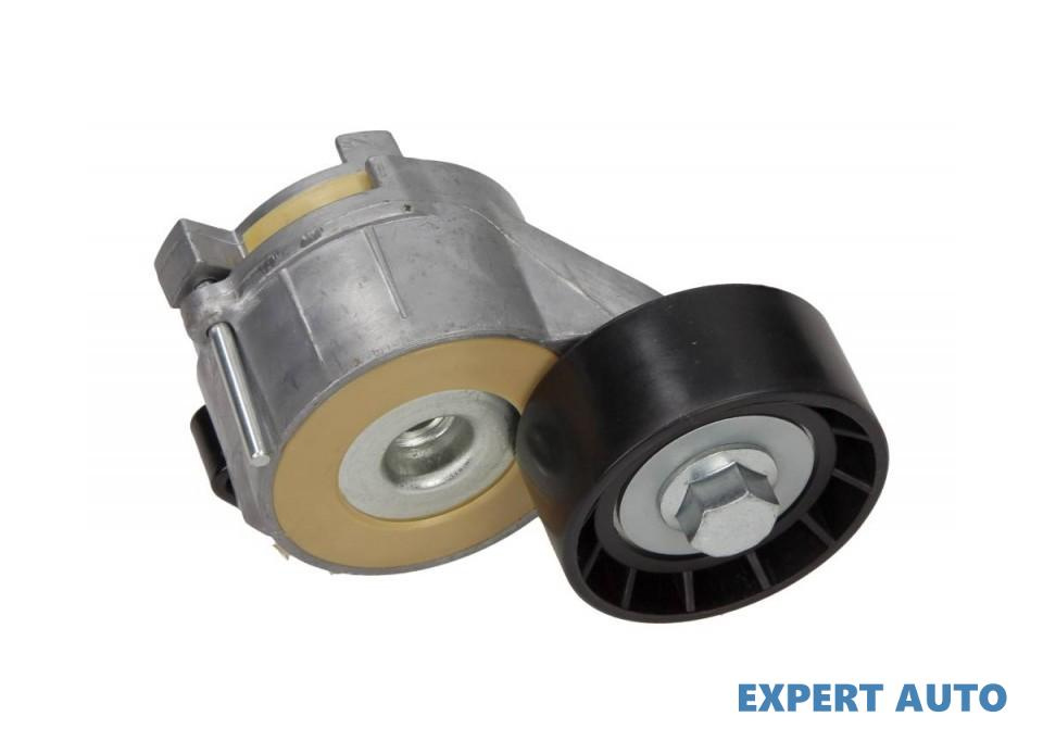 Intinzator curea Citroen C5 III Break (TD_) 2008-2