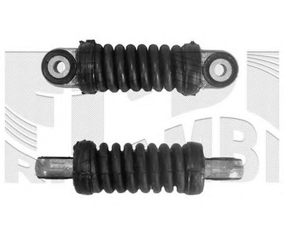 Intinzator curea CITROEN JUMPY platou sasiu BU BV BW BX CALIBER 66268