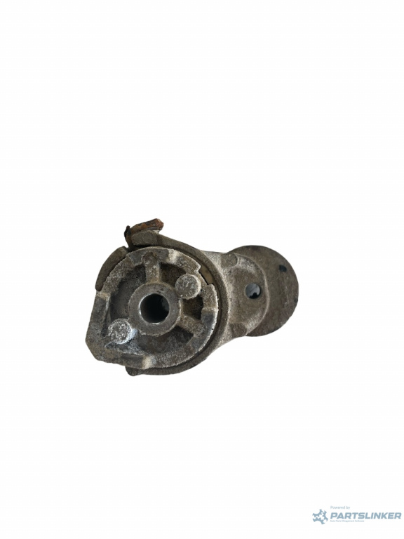Intinzator curea FIAT DUCATO Bus 244 200