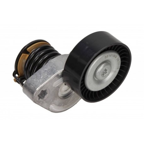 IntinzAtor curea multi-striata DB M271 A209/C209/W