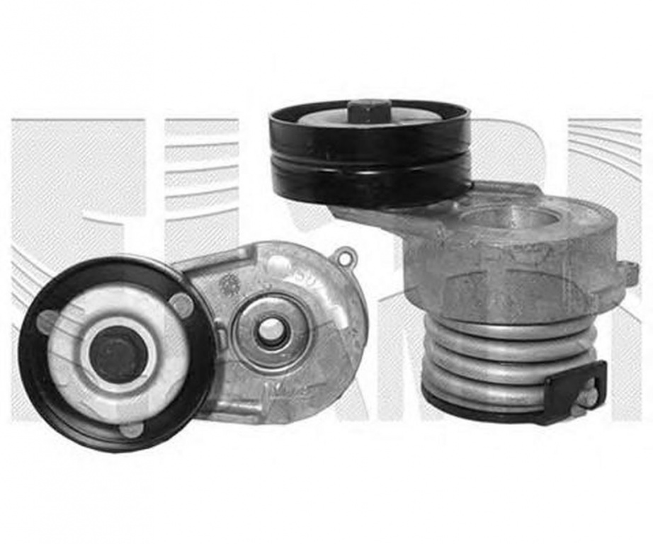 Intinzator curea OPEL CORSA C caroserie F08 W5L CALIBER 10269