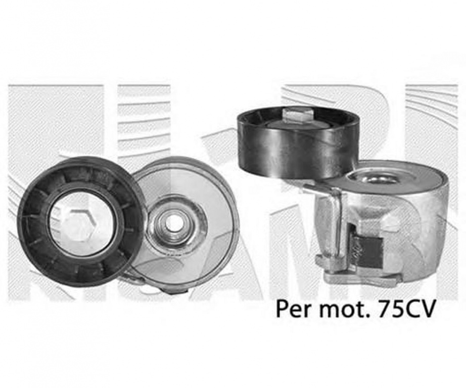 Intinzator curea OPEL CORSA C F08 F68 CALIBER 77168