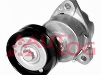 Intinzator curea OPEL ZAFIRA B A05 AUTOLOG RT1376