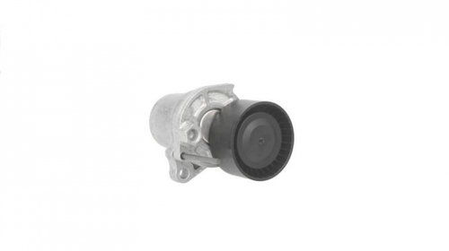 Intinzator curea Renault MEGANE CC (EZ0/1_) 2