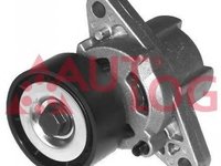 Intinzator curea RENAULT SYMBOL I LB0 1 2 AUTOLOG RT1484