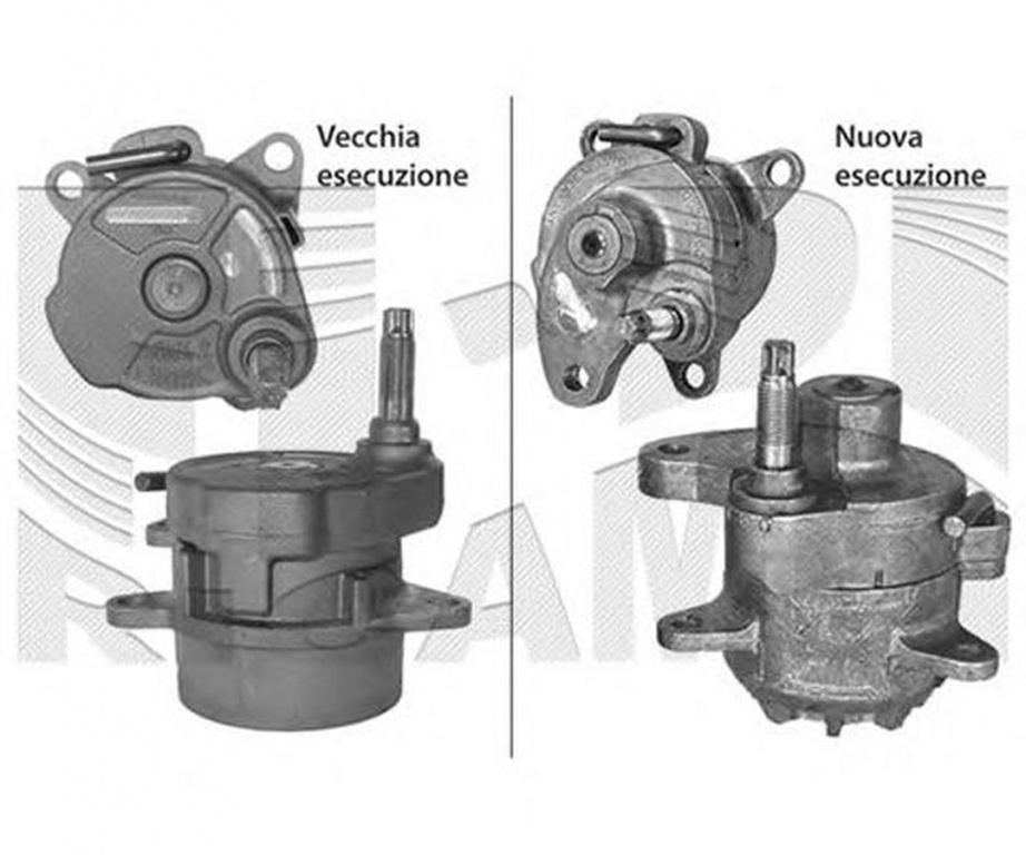 Intinzator curea SSANGYONG ACTYON I CALIBER 76663