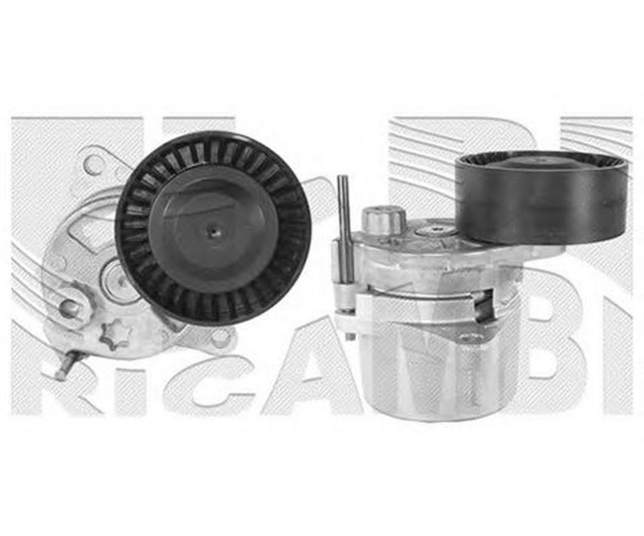 Intinzator curea SSANGYONG REXTON GAB CALIBER 76662